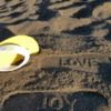lovesoleshoes